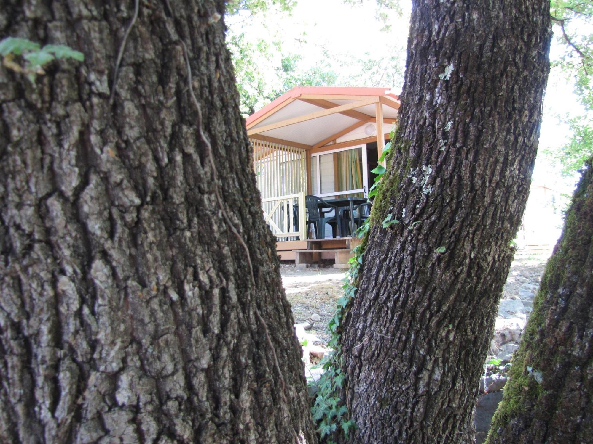 Camping Chalets Les Chênes Verts Vogue Quarto foto